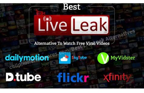 liveleak substitute|Find the Best LiveLeak Alternatives for Shocking Videos